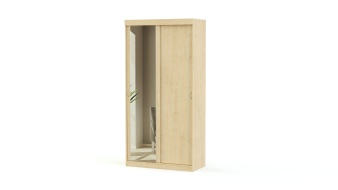 Шкаф-купе Премьера BMS