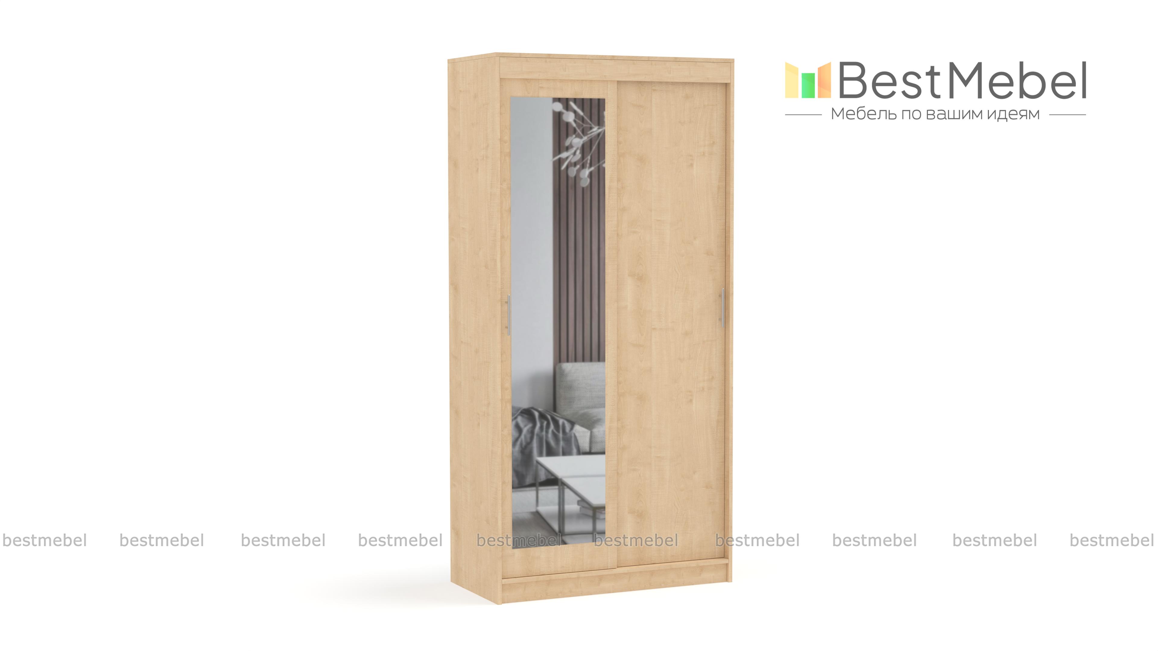 Шкаф-купе СРД-2х дверный с зеркалом BMS - Фото