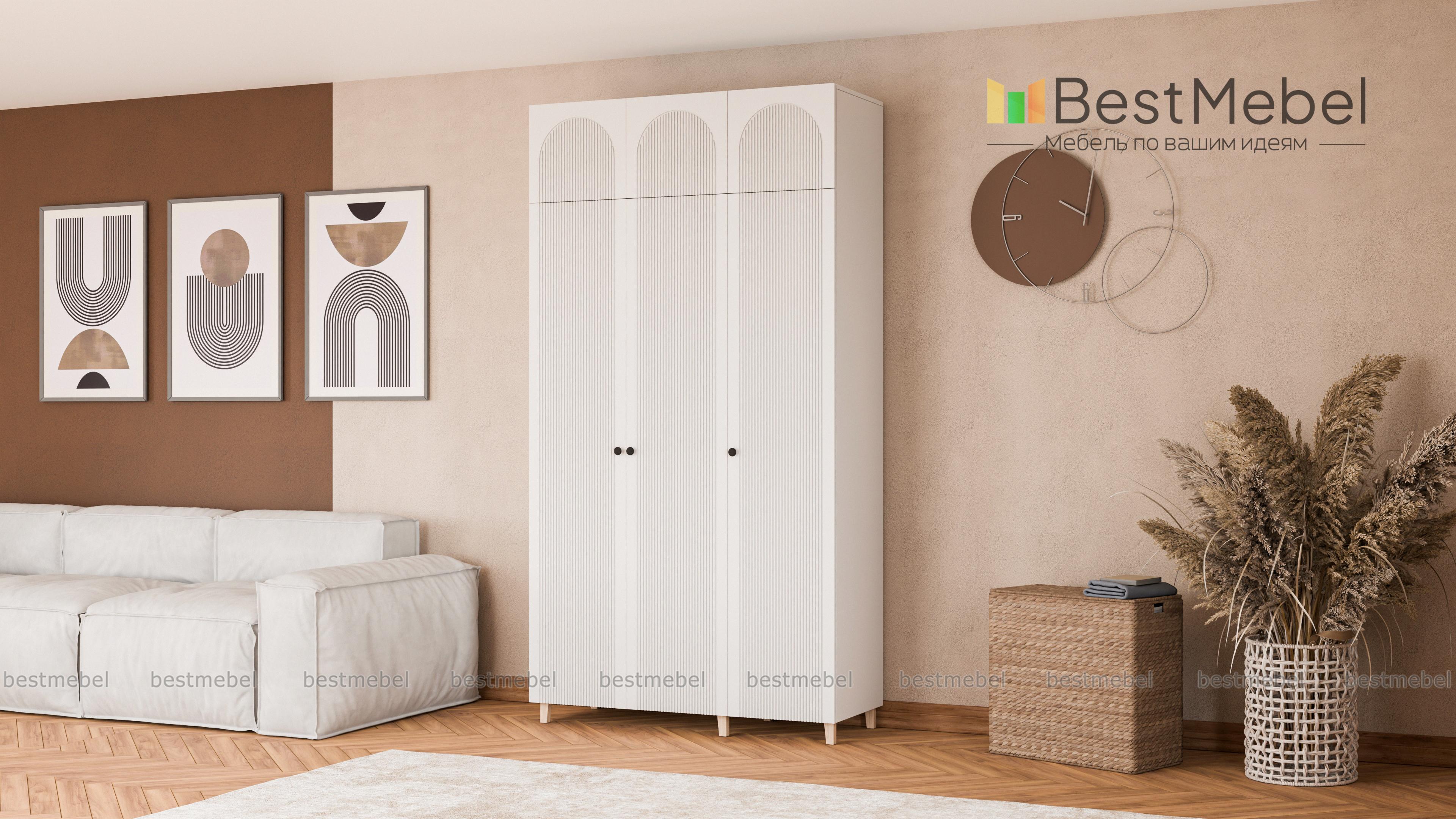 Шкаф распашной Рене 25 BMS - Фото