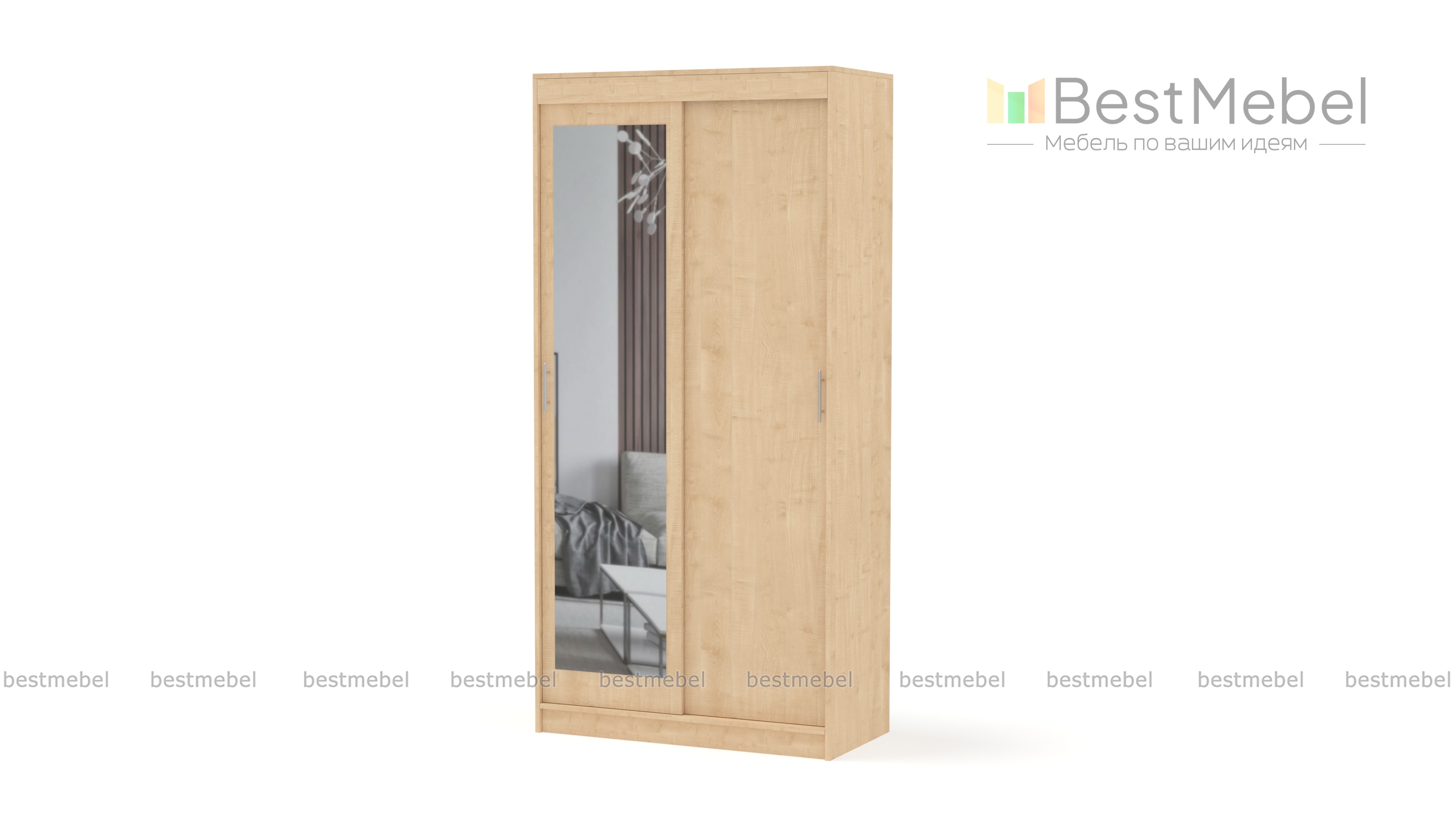 Шкаф-купе СРД-2х дверный с зеркалом BMS