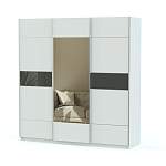 Шкаф-купе Риан 23 BMS - Фото 5